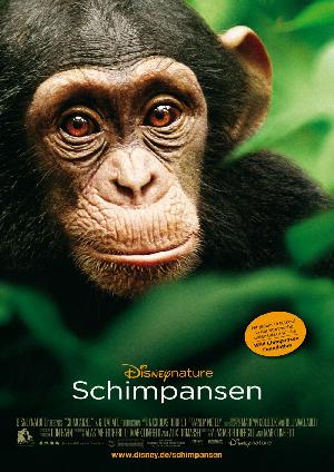 Schimpansen - Plakat/Cover