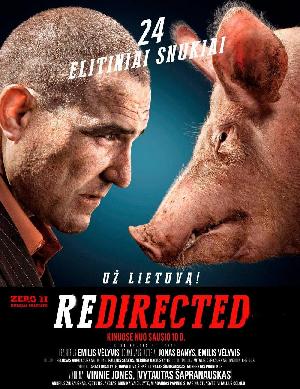 What the Fuck heisst REDIRECTED (Ein Fast Perfekter Coup) - Plakat/Cover